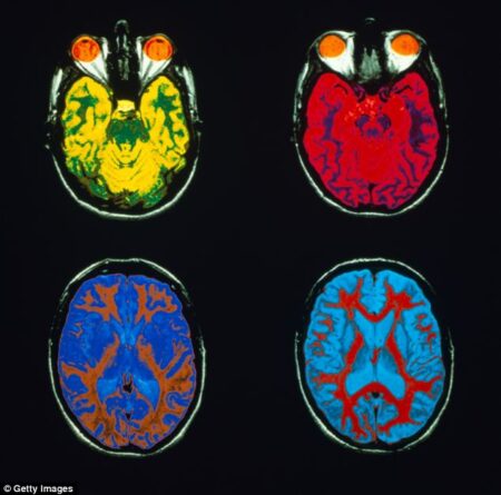 article 2591882 19F535CC000005DC 688 634x627 | With brain scan, a face reconstructed