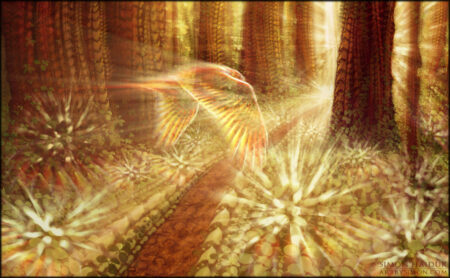 inside clover grove by kudiah d55tdwj | Self-awareness tips: Spiritual levels